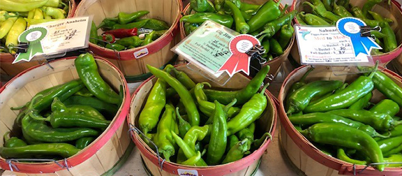 Celebrate Peak Chile Month Farm To Table Style! - 50 Plus Marketplace News